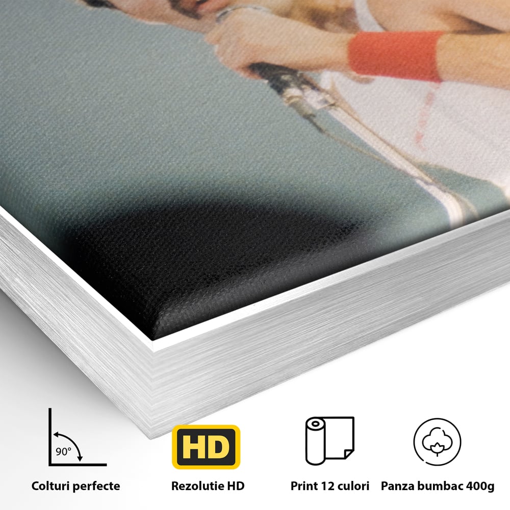 Detaliu al suprafetei: tablou canvas cu freddie mercury, in rama de aluminiu argintiu